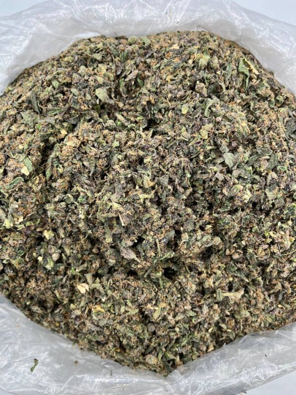 VANILLA SHAKE – LK709SE Vanilla Shake strain online