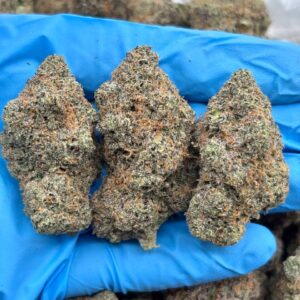 Watermelon Taffy strain